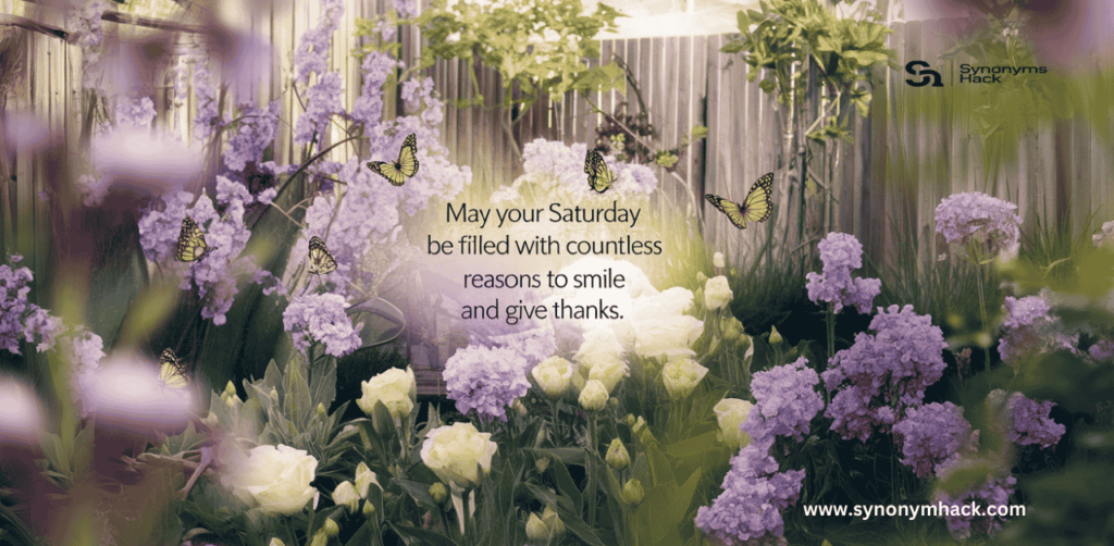 Saturday Blessings